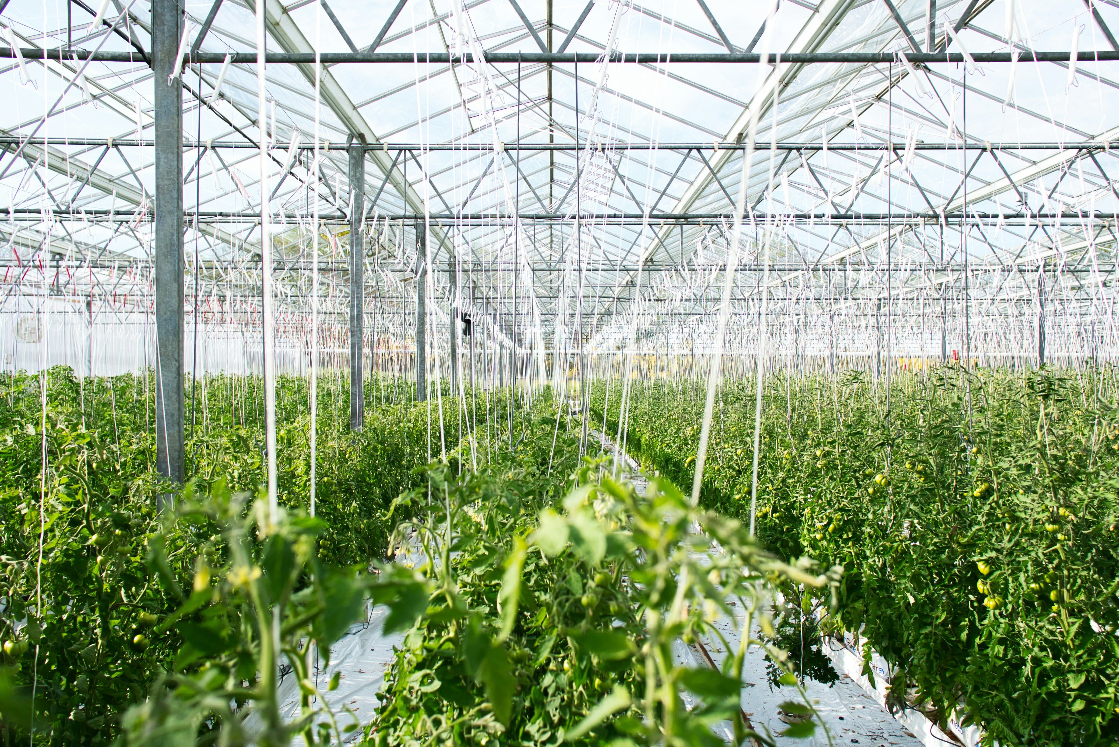 AgriERP